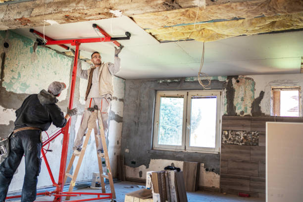 Best Cellulose Insulation in Spencerville, OH